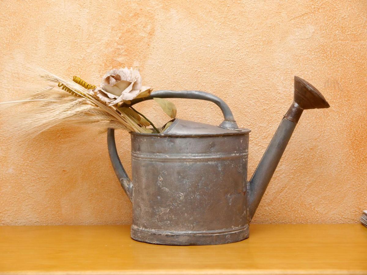 Ríolobos Casa Rural Abuela Maxi المظهر الخارجي الصورة